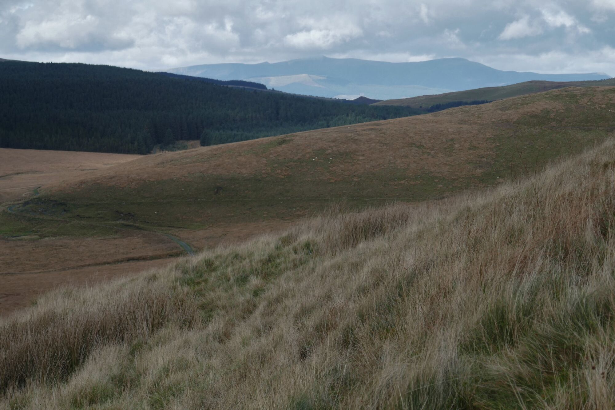RachelSeabrook.net | Wild Walking | Cwm Hengwm | pic26